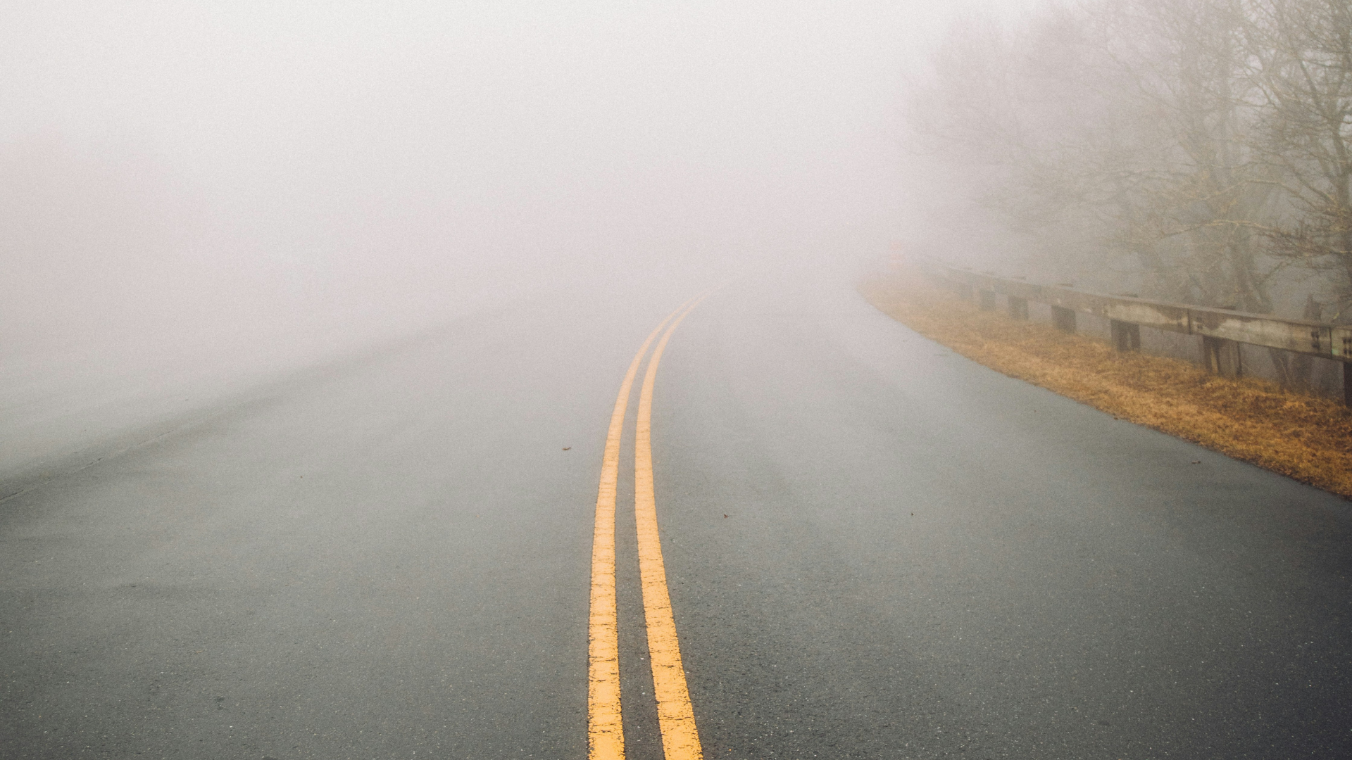 A dense gray fog covers a winding road