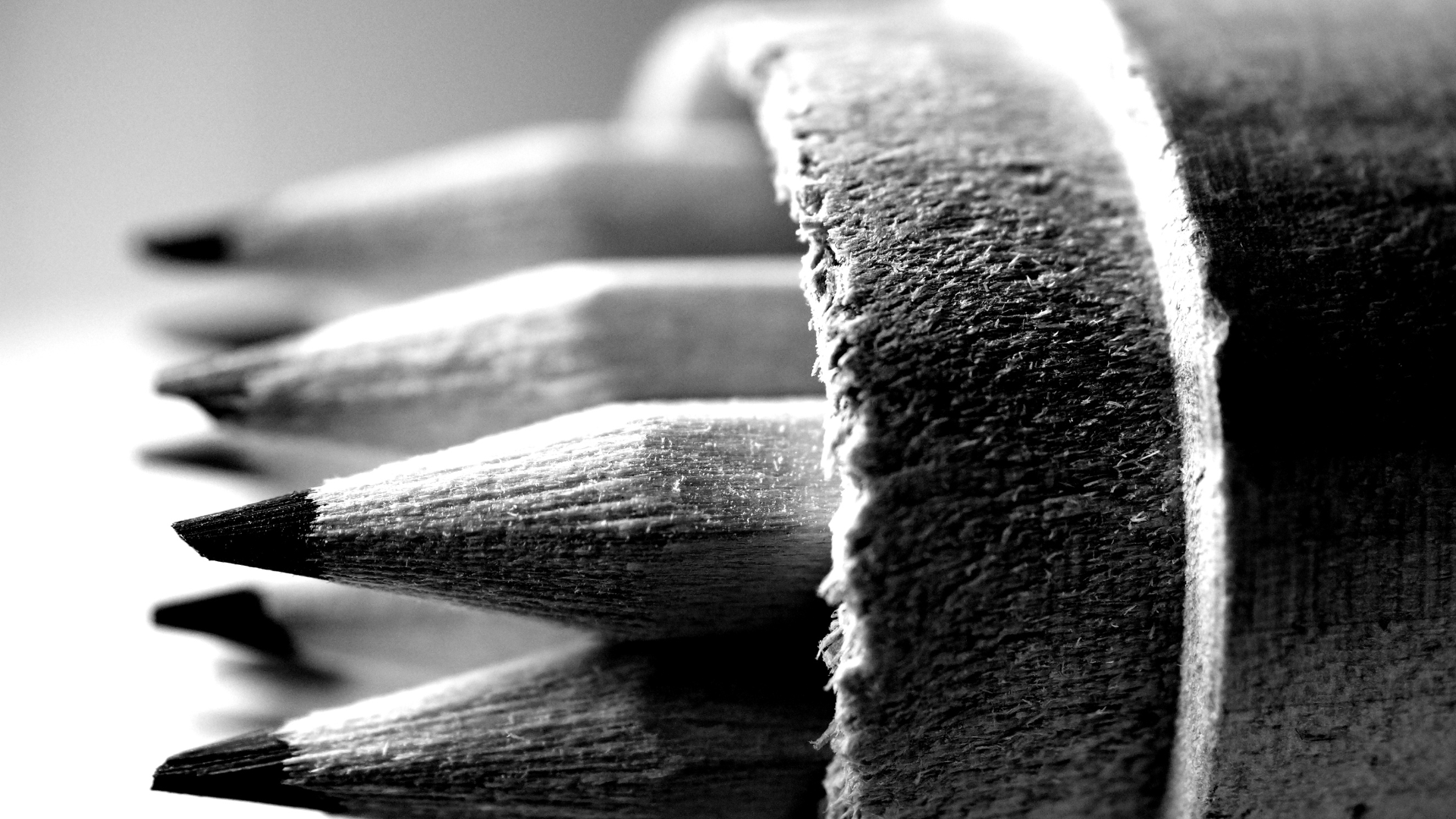 A close up black and white photo of freshly sharpened lead pencils neatly stacked in a wooden pencil holder