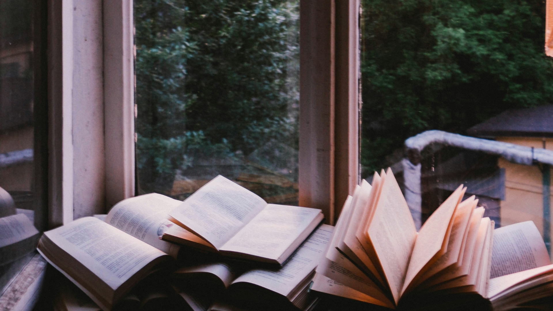 Worn and well-loved books sit with pages bent open in front of a window as dreamy warm sun beams through the glass