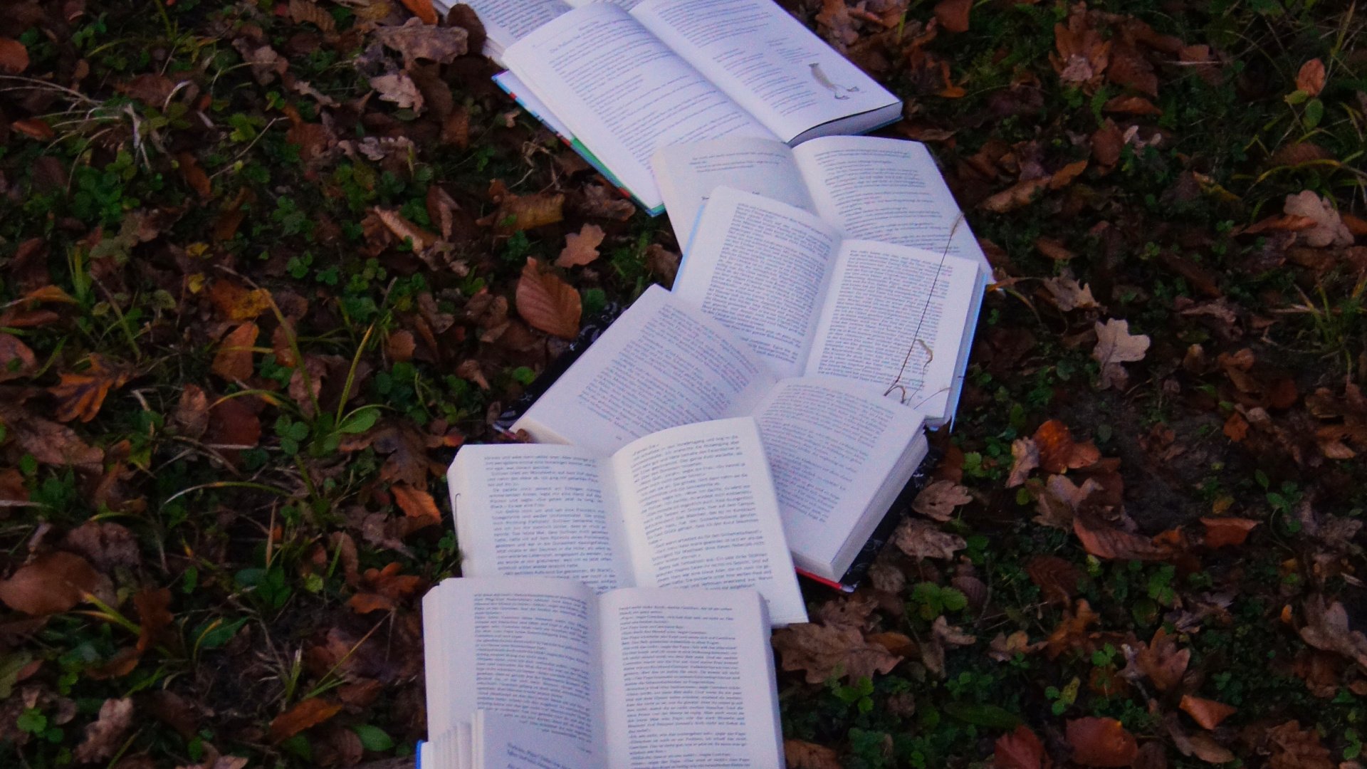 Six books, open and arranged in a line, resting on a bed of leaves on the ground