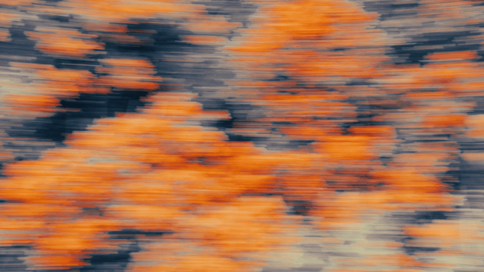 Abstract blurred streaks of orange and gray resembling fast motion through autumn foliage.