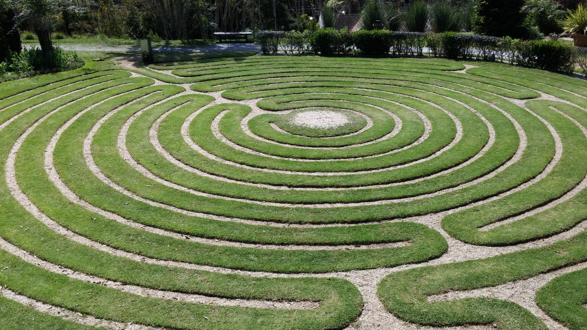 Photograph of a lush green spiraling labyrinth garden maze 