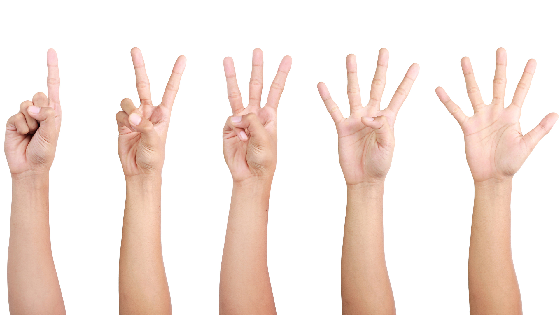 A photo of 5 hands each holding up a different number of fingers