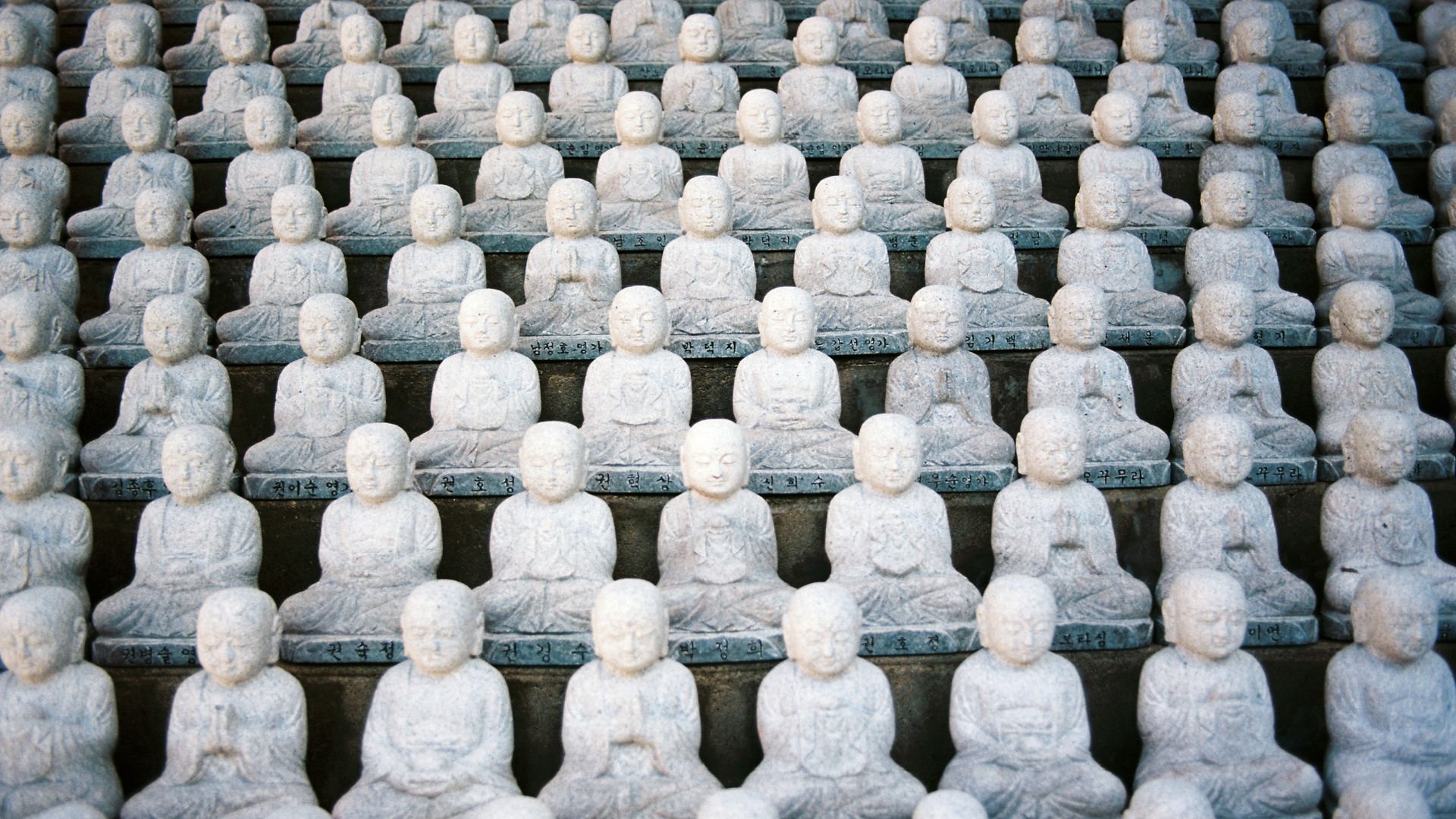 Over 50 identical Buddha statues placed in neat rows