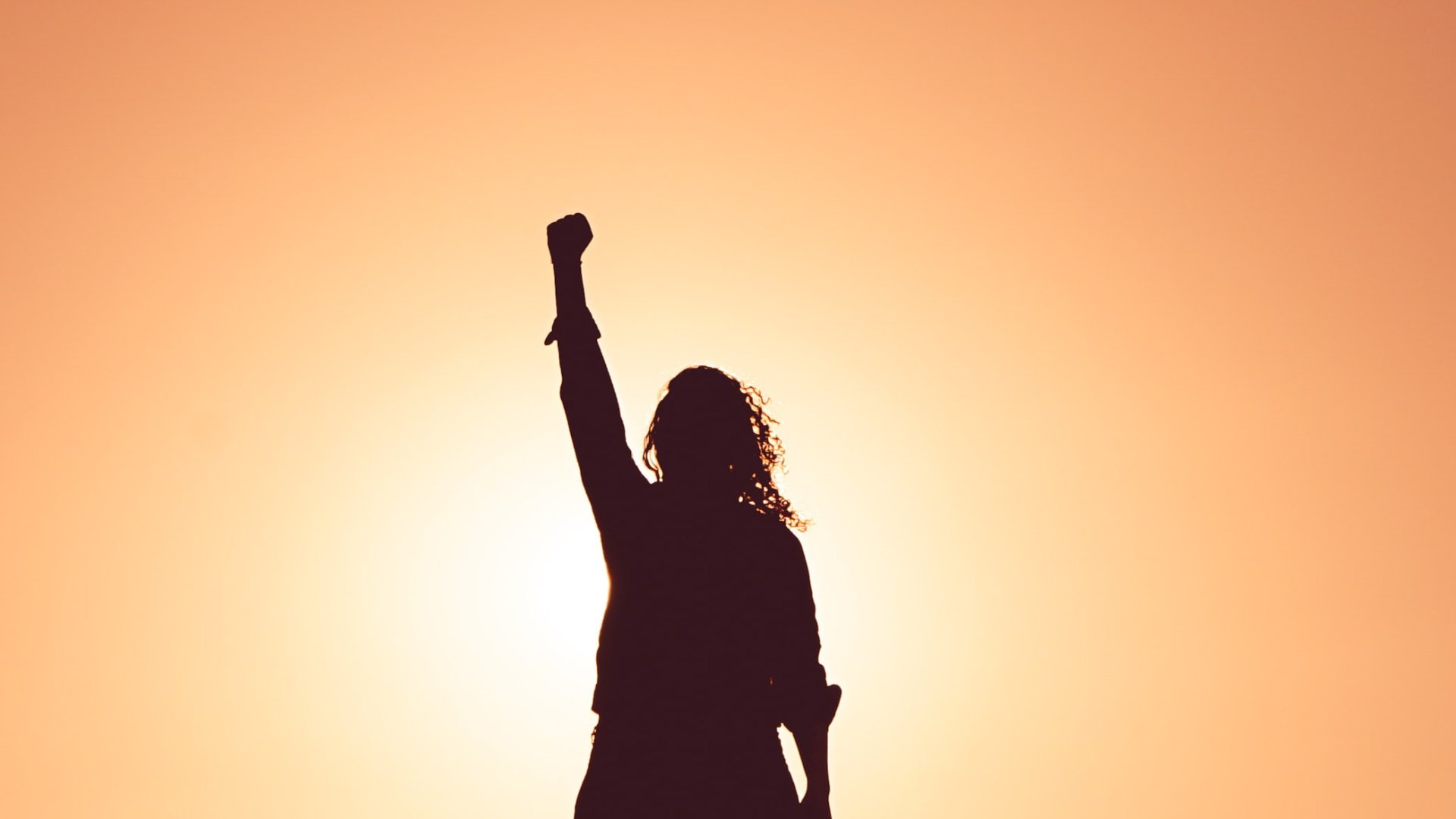 Silhouette of a person holding their fist in the air
