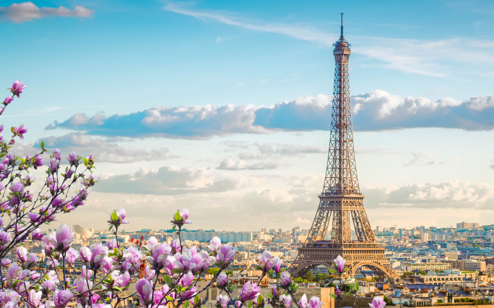 Eiffel Tower and Paris cityscape with flowering tree in the foreground