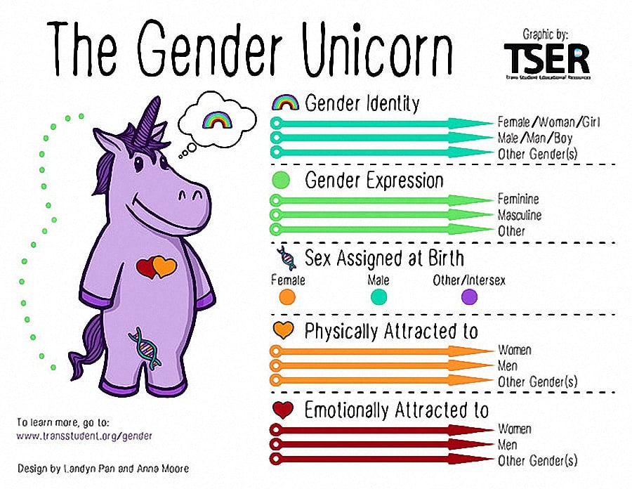 Gender Unicorn Graphic from TSER 