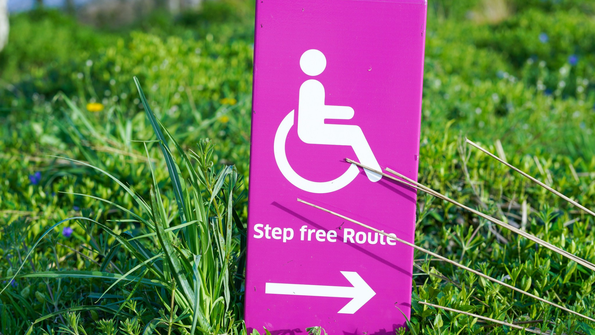 Pink and white wheelchair accessibility sign on green grass with text _step free route