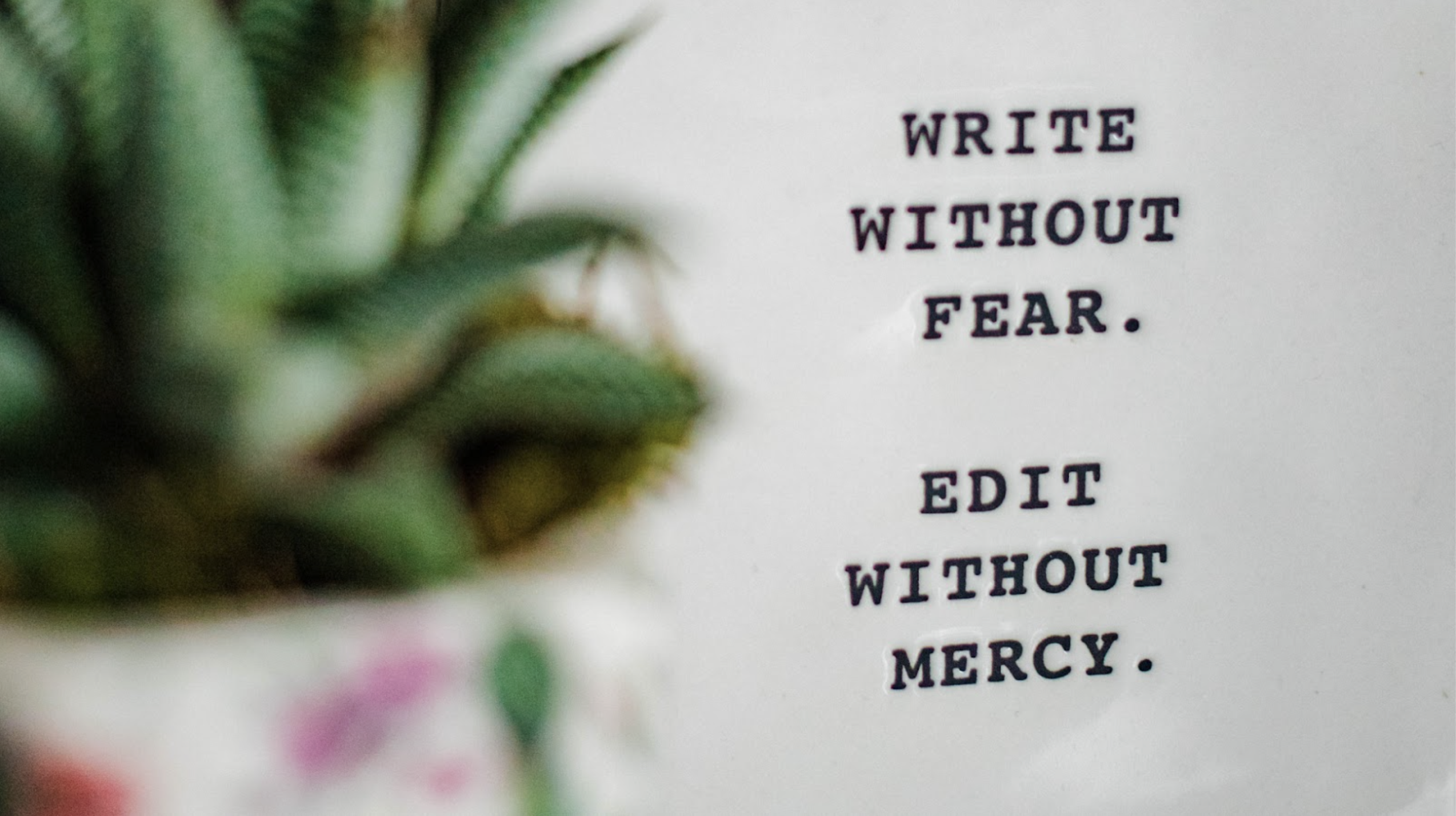 a white box with writing on it that reads "write without fear. edit without mercy."next to a plant