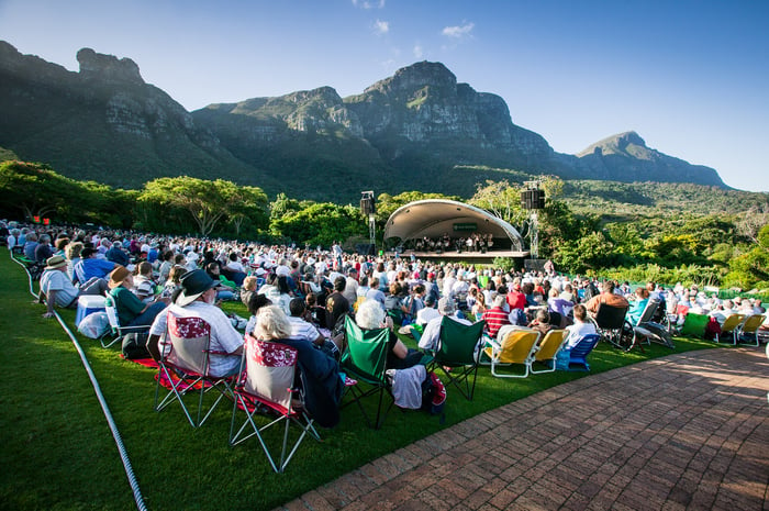 Outdoor Concert - Vibrant Arts Community