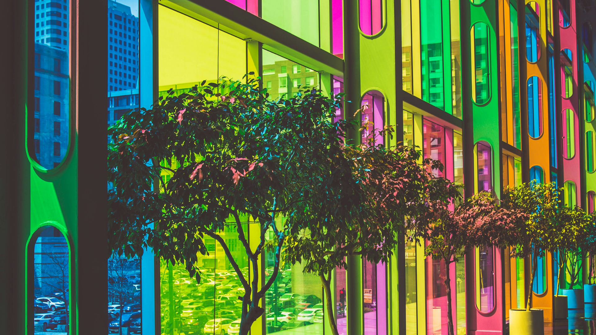 photo of green leafy green trees inside a building with neon tinted windows